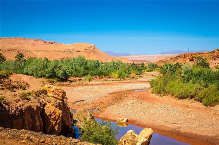 Kasbahs & Oasen und Baden  ©Olena Z/adobestock